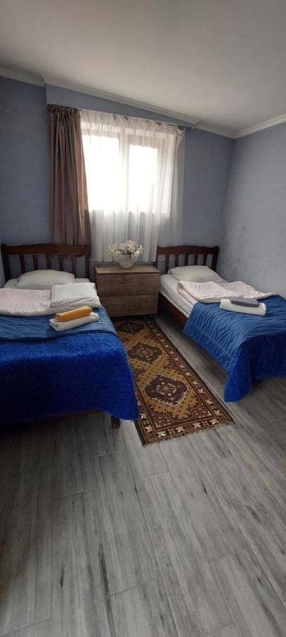 Lela Rezo Guesthouse Kazbegi Exterior foto